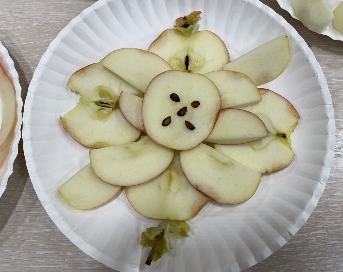 Na talerzu papierowym ułożona mandala z kawałków jabłka. Jabłko pokrojone w plasterki i półplasterki bez obierania i ułożone w kole talerza. Na środku plasterek jabłka i na nim ułożone 5 nasion z jabłka rozmieszczone w taki sposób jak na kostce do gry.