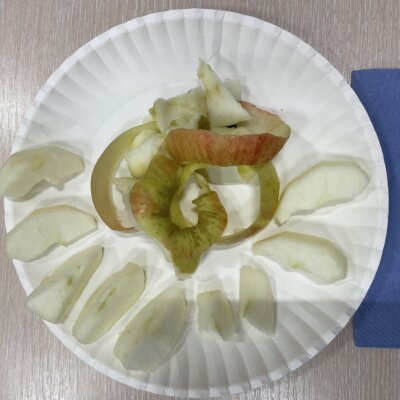 Dziewięć cząstek jabłka ułożone w dolnej części talerza papierowego w formie wachlarza, skórka pozwijana w górnej części talerza. Kliknięcie w obrazek spowoduje powiększenie.
