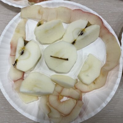 Na papierowym talerzu ułożona mandala z kawałków jabłka. Na środku talerza cząstki jabłka ułożone w okręgu, każda cząstka inna. Za obramowanie mandali służy długa skórka z obranego jabłka. Kliknięcie w obrazek spowoduje powiększenie.