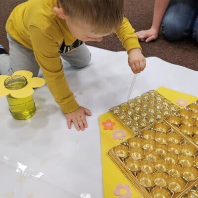 Chłopiec za pomocą pipety napełnia pojemniczki żółtym barwnikiem. Kliknięcie w obrazek spowoduje powiększenie.